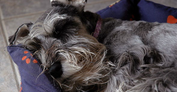 Sleeping